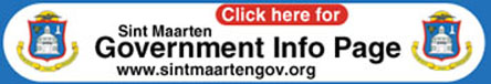 ngov web banner.jpg